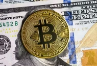 Bitcoin Sebagai Aset Tahan Banting dari Gejolak Politik: Peluang dan Tantangan